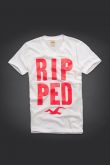 camisetas Hollister